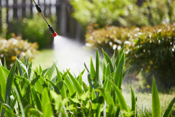Tamper-Resistant Bait Stations for Rodents in North El Monte