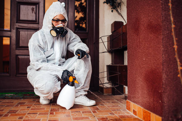 Attic and Crawl Space Rodent Treatment in North El Monte